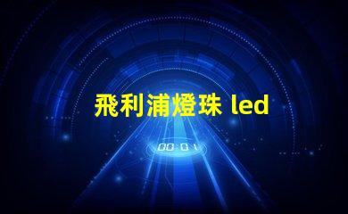 飛利浦燈珠 led 大燈